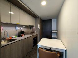 Avenue South Residence (D3), Apartment #523783211